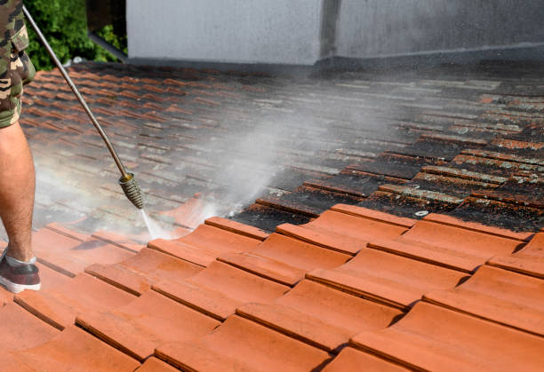 Best Pressure Washing Company Near Me  in Mabank, TX